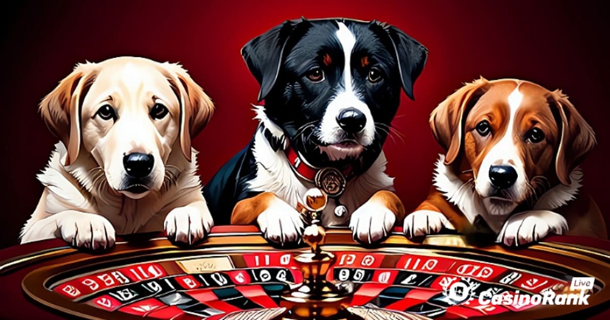 Join the Weekly Roulette Tournament at Casino-X and Win a Payout